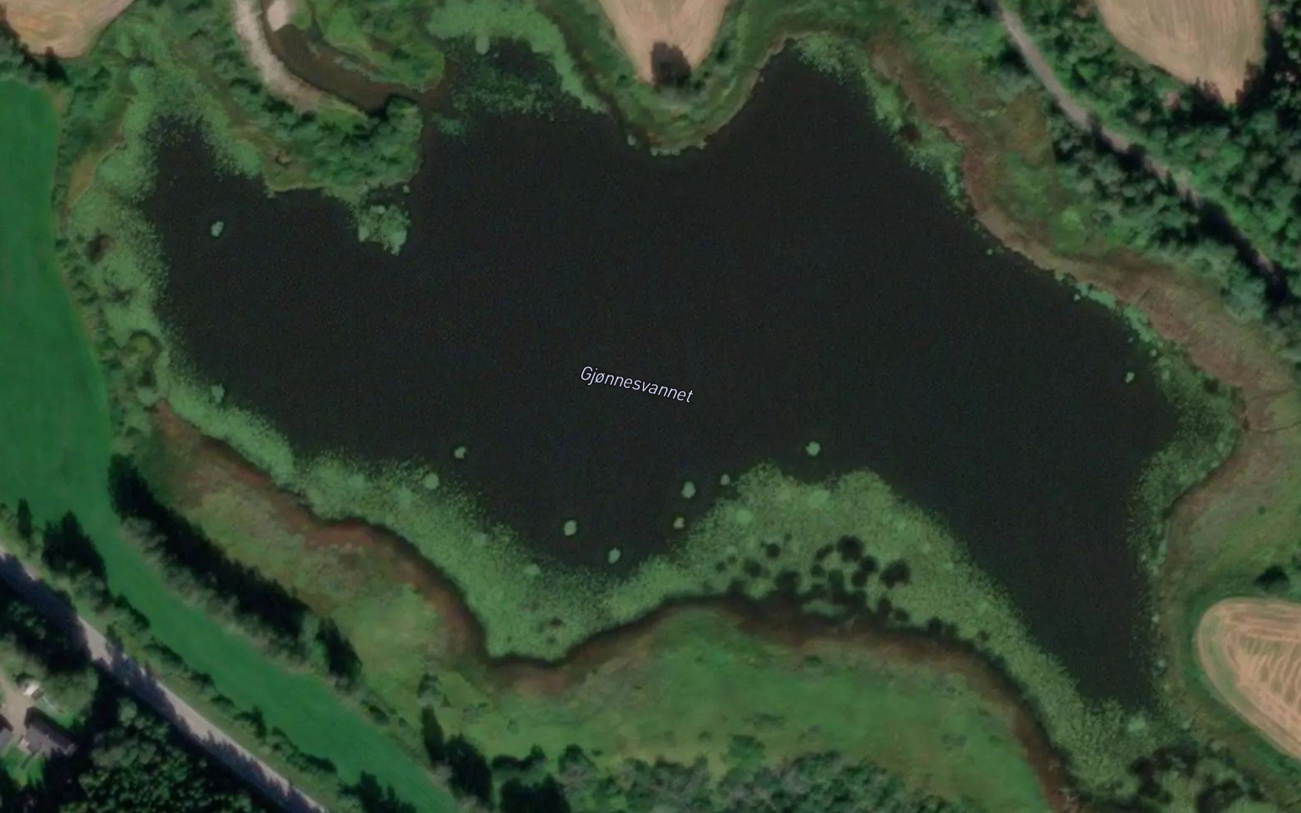 Gjonnesvatnet