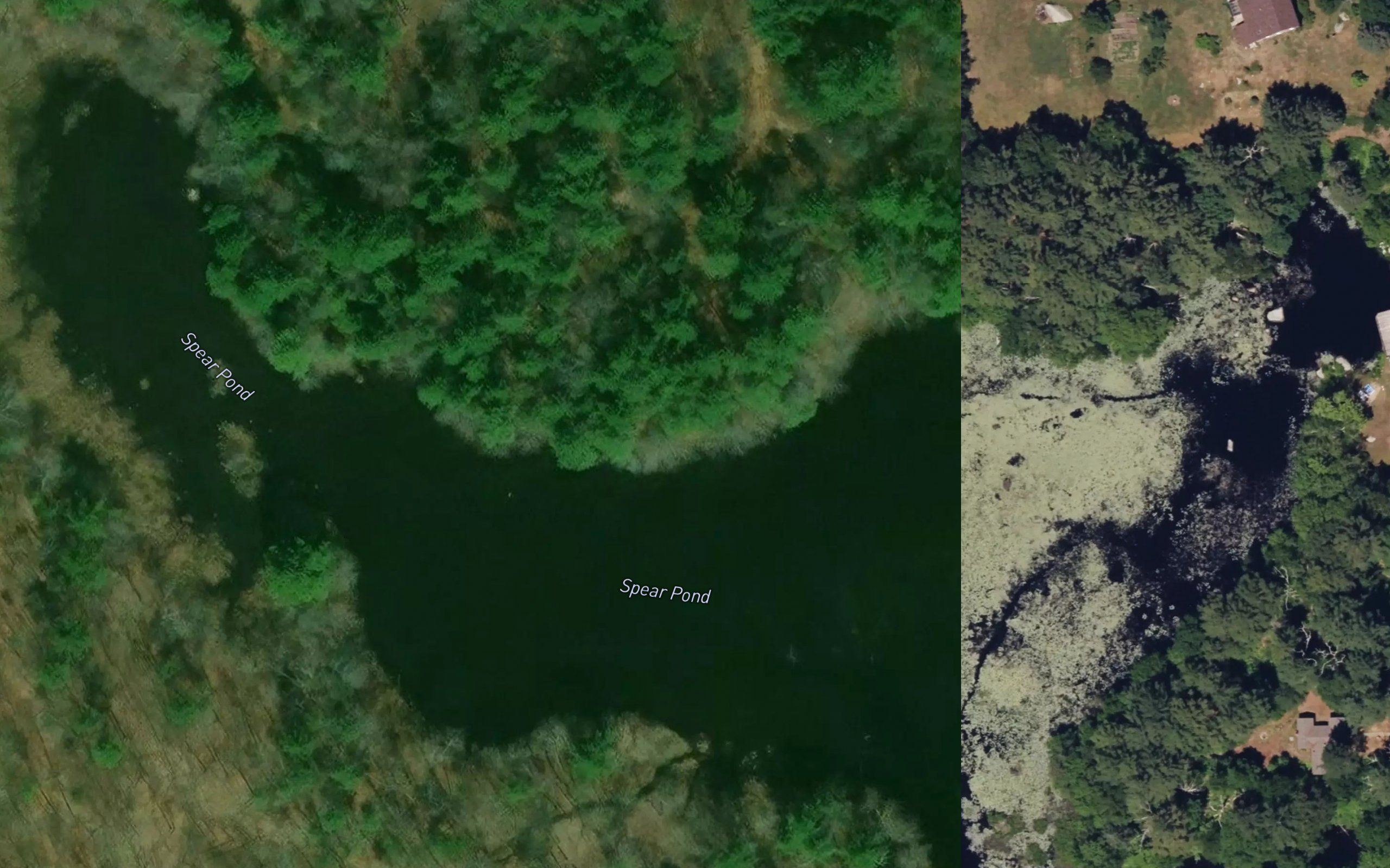 Spear Pond