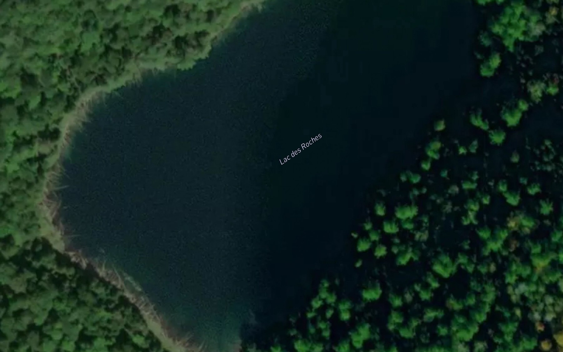 Satellite map of the Lac des Roches