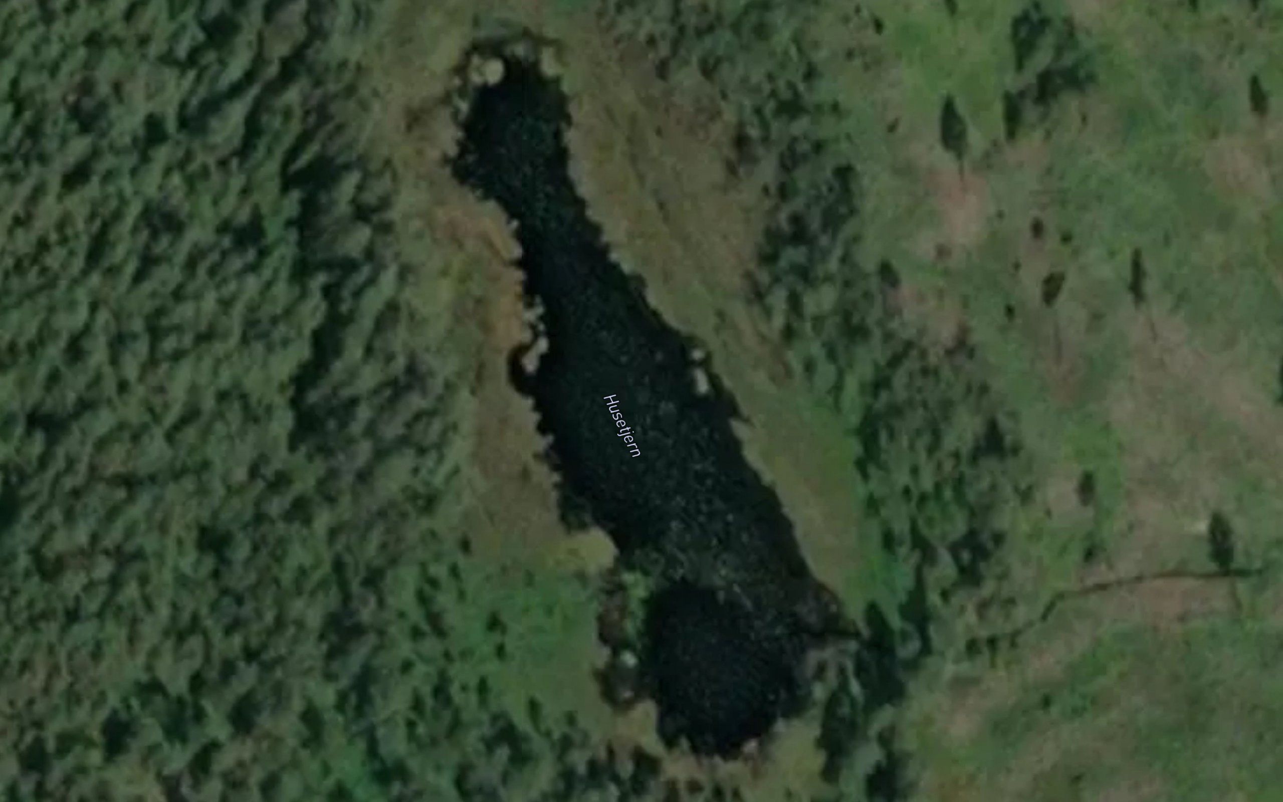 Husetjern