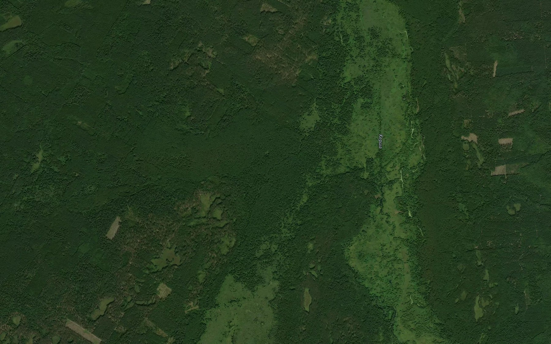 Satellite map of the Nigalyay