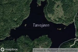 Taevsjoen