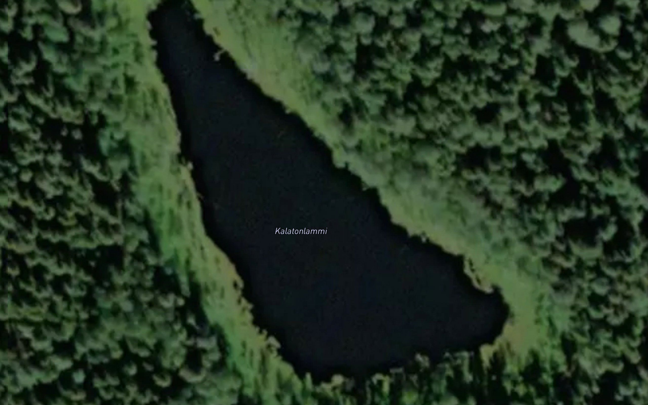 Kalatonlammi