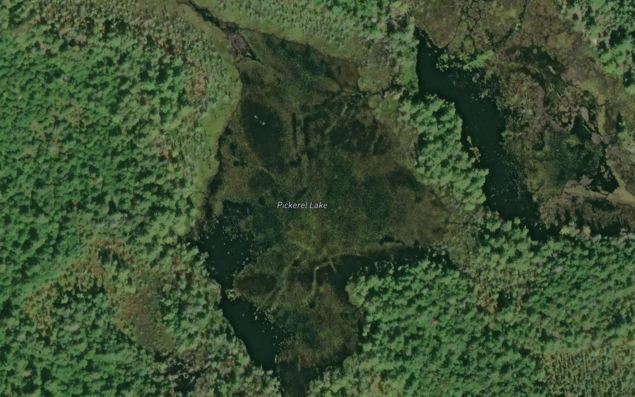 Pickerel Lake