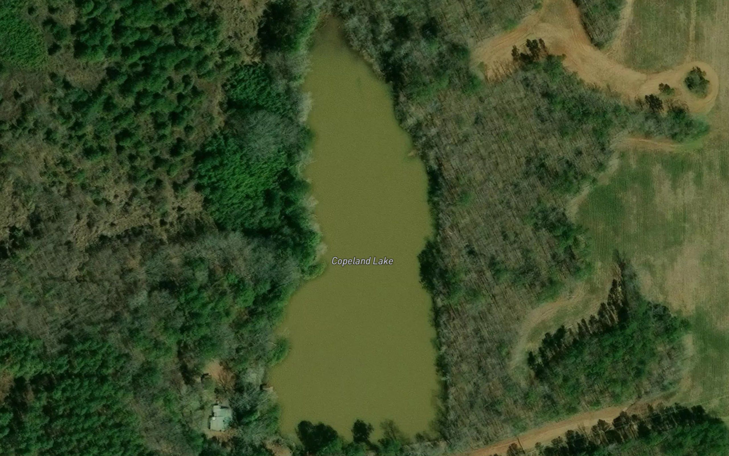 Copeland Lake