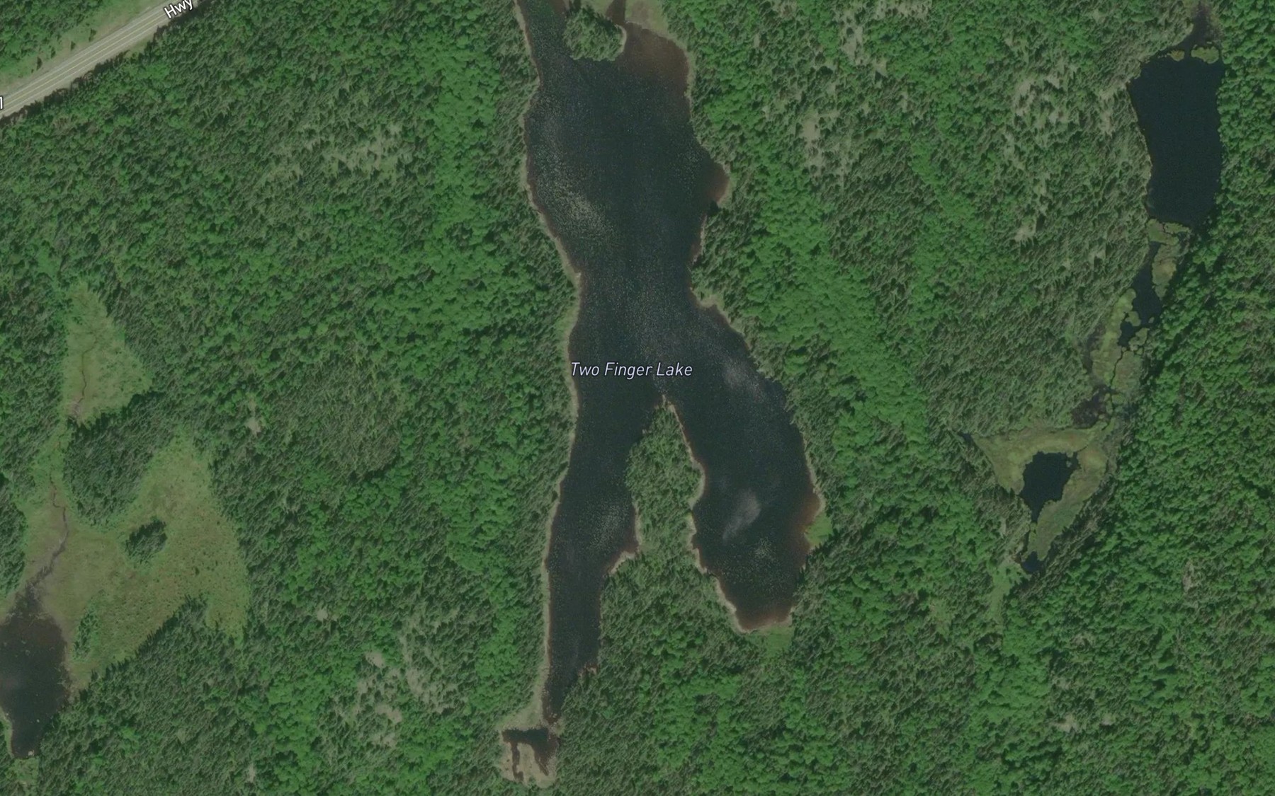 Satellite map of the Two Finger Lake