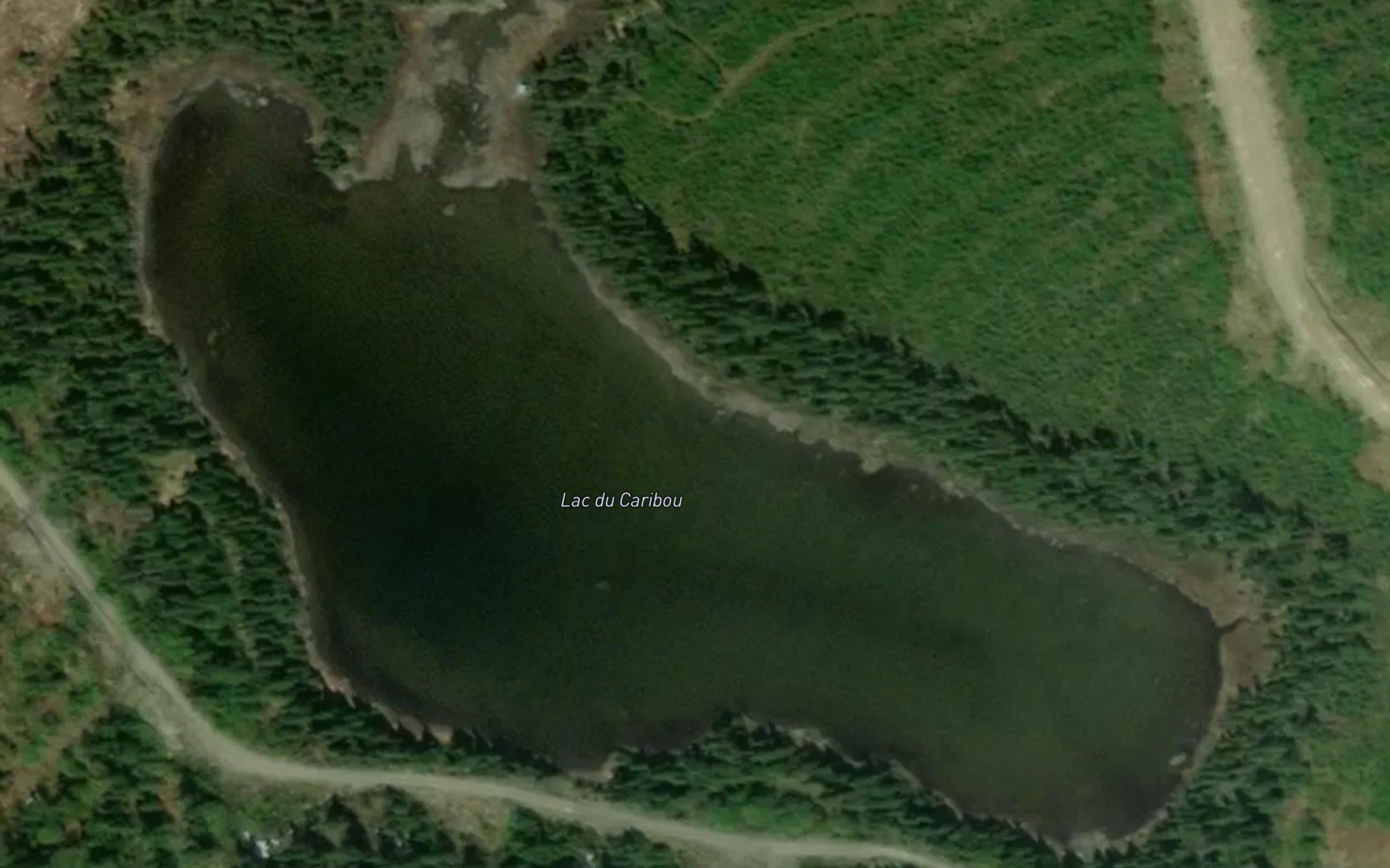 Lac du Caribou