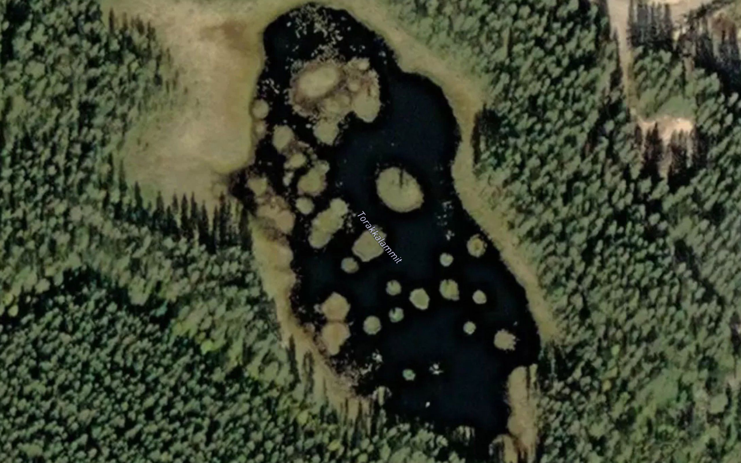 Torakkalammit