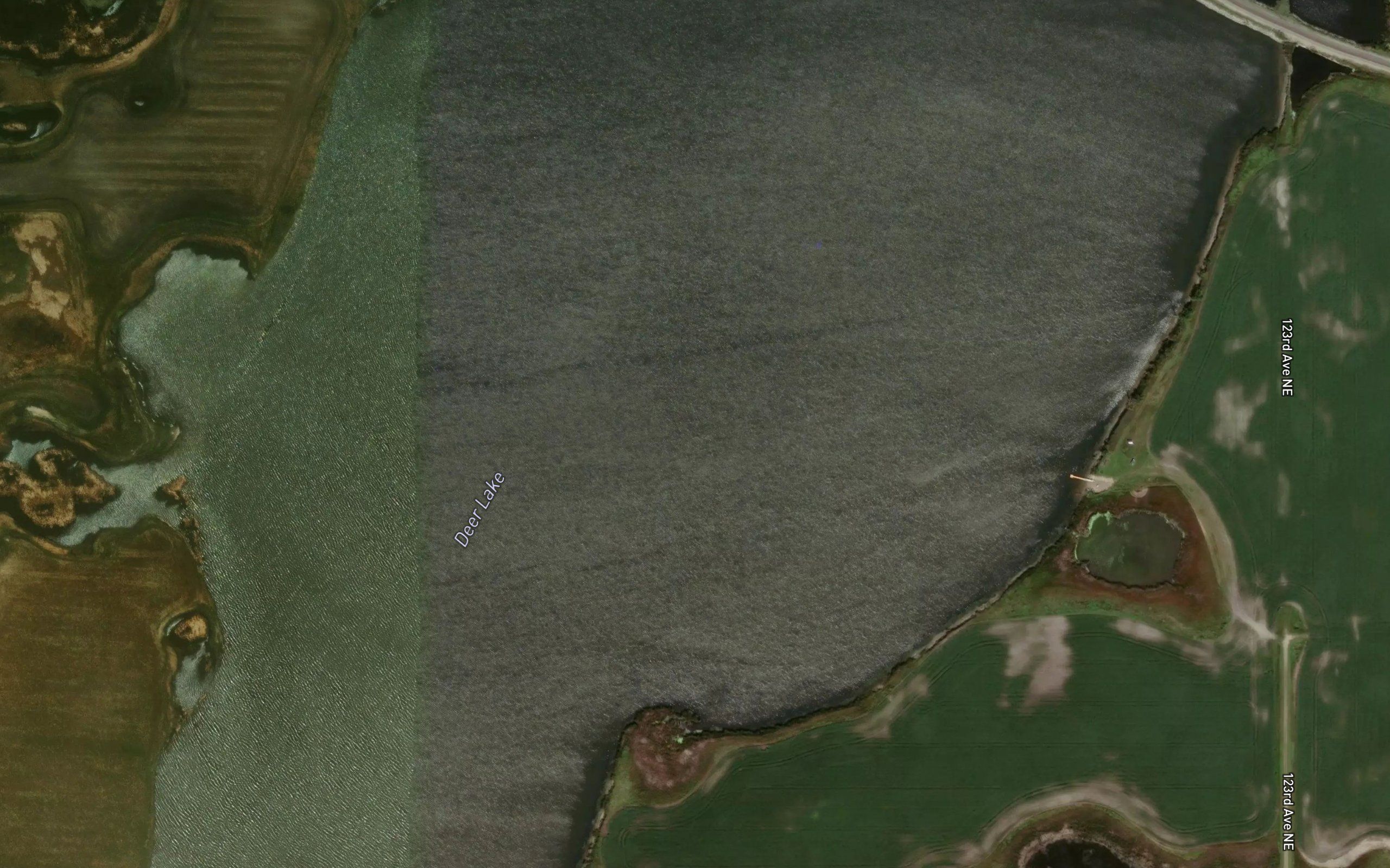 Deer Lake