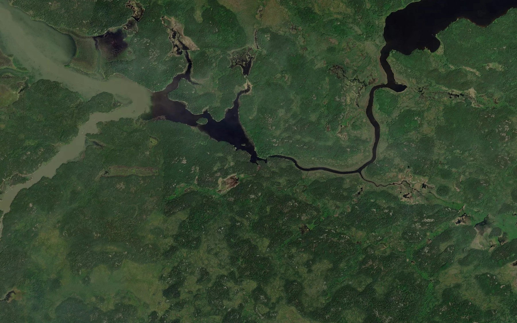 Satellite map of the Pickerel River