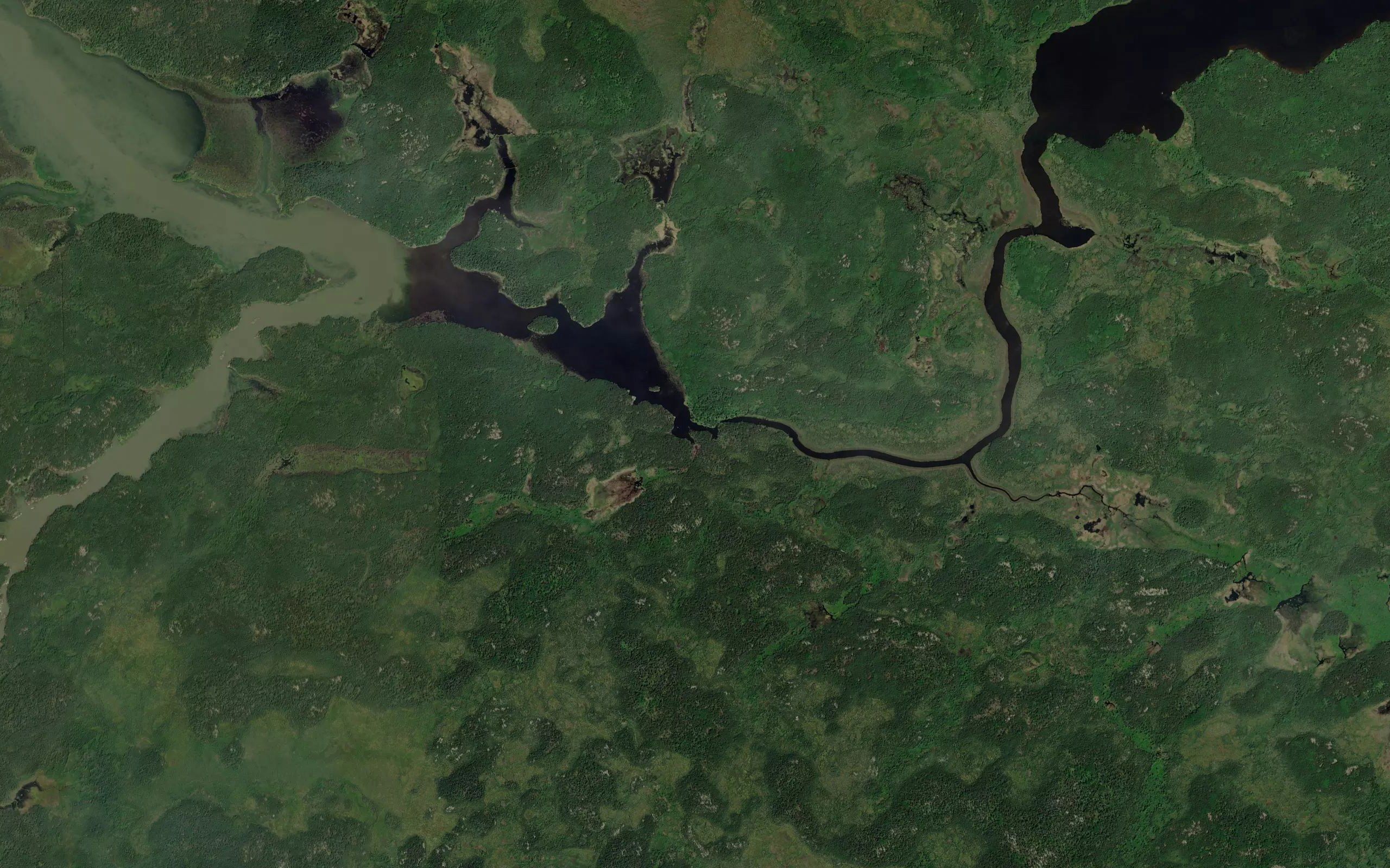 Pickerel River