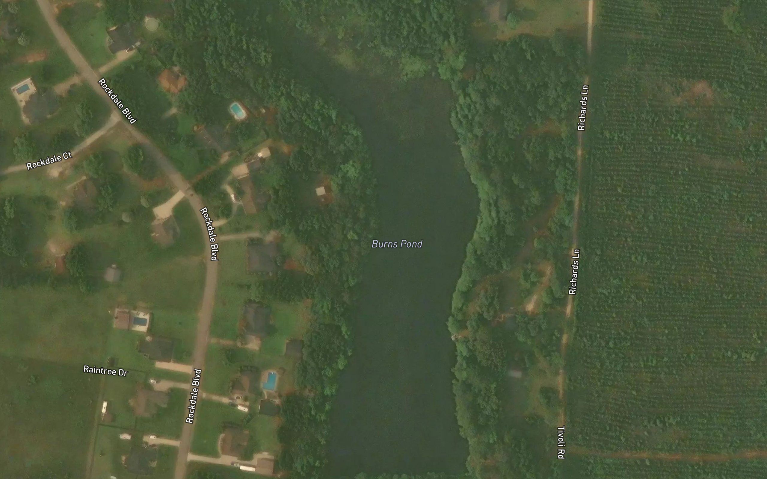 Burns Pond