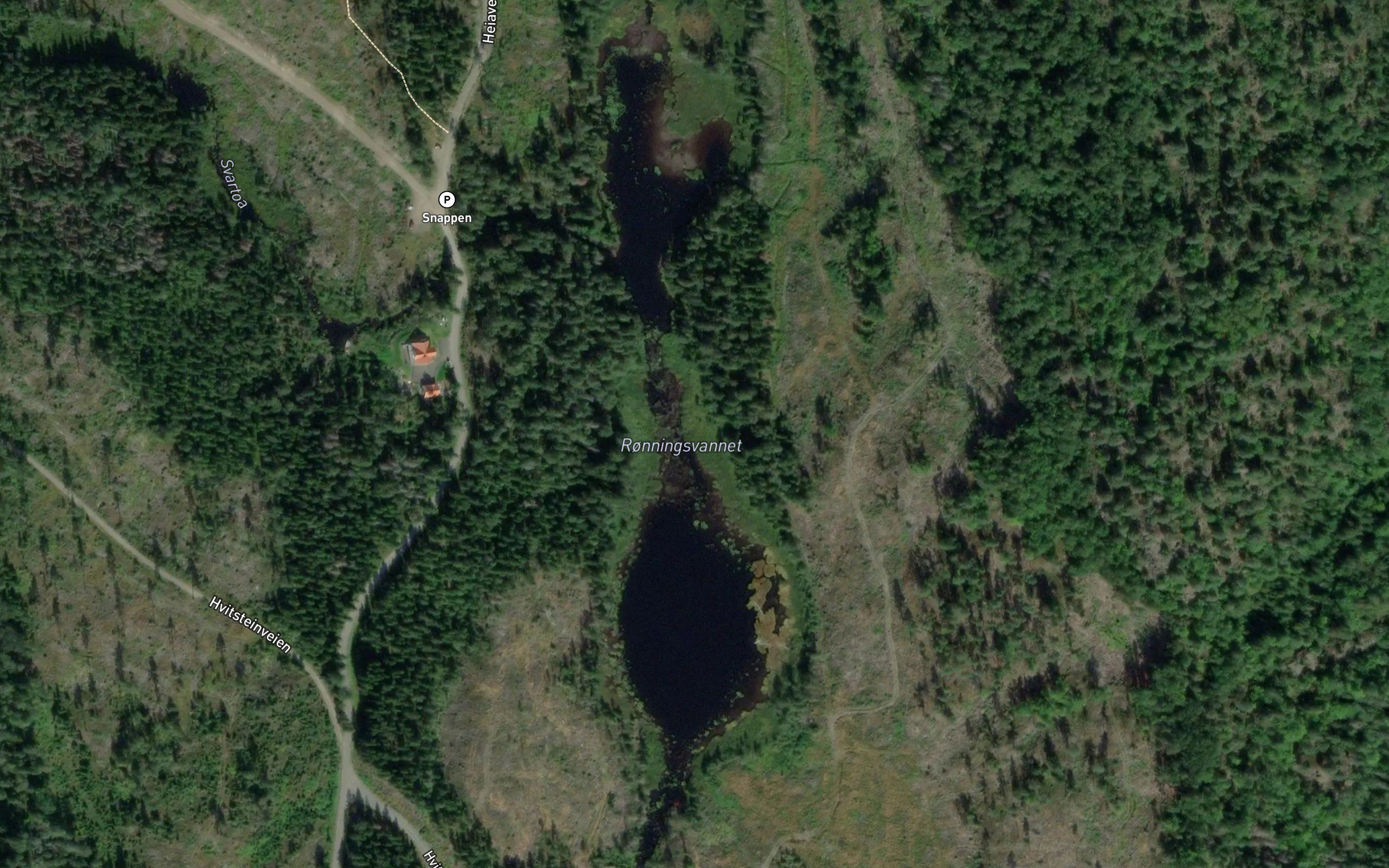 Ronningsvannet