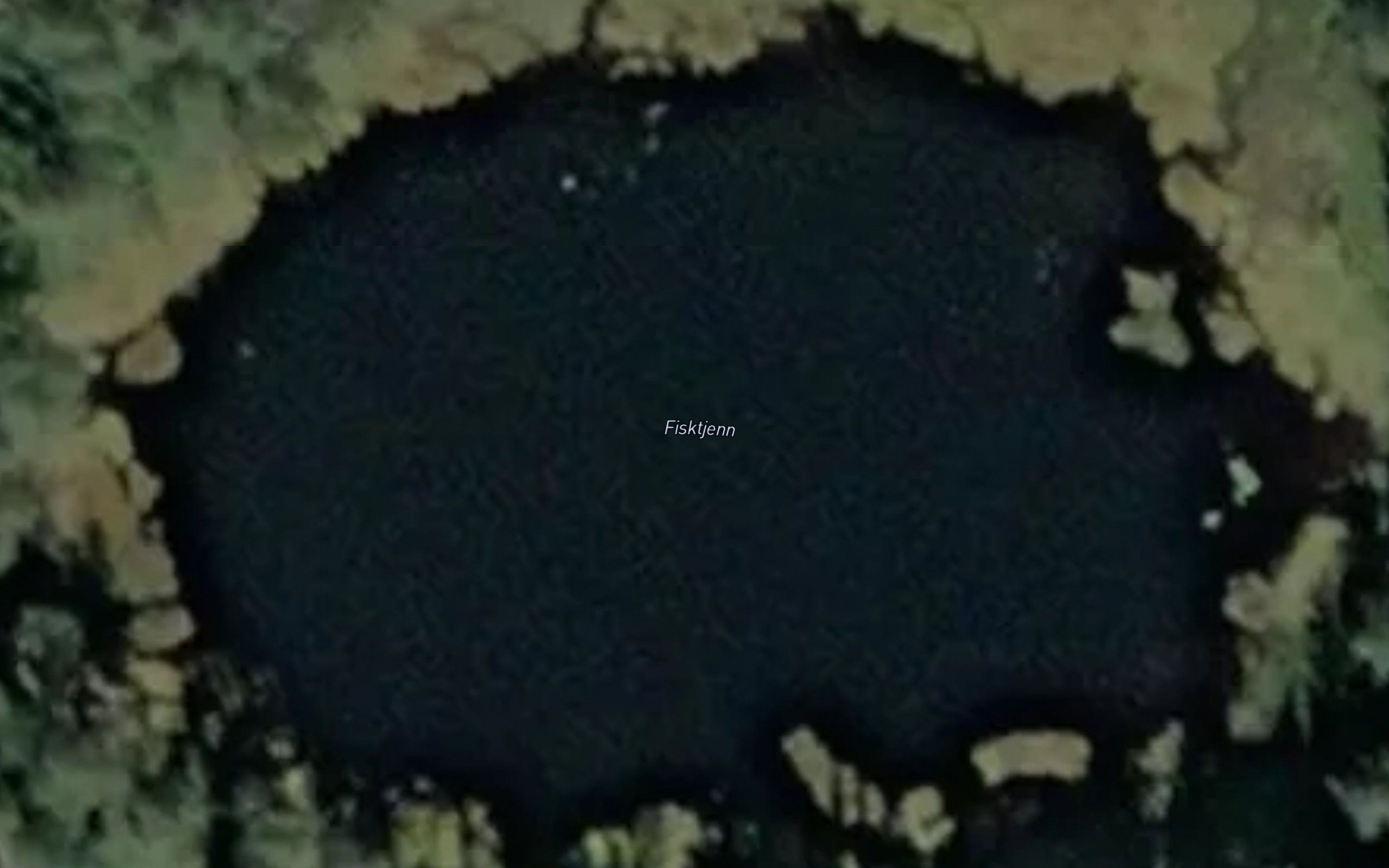 Fisktjenn