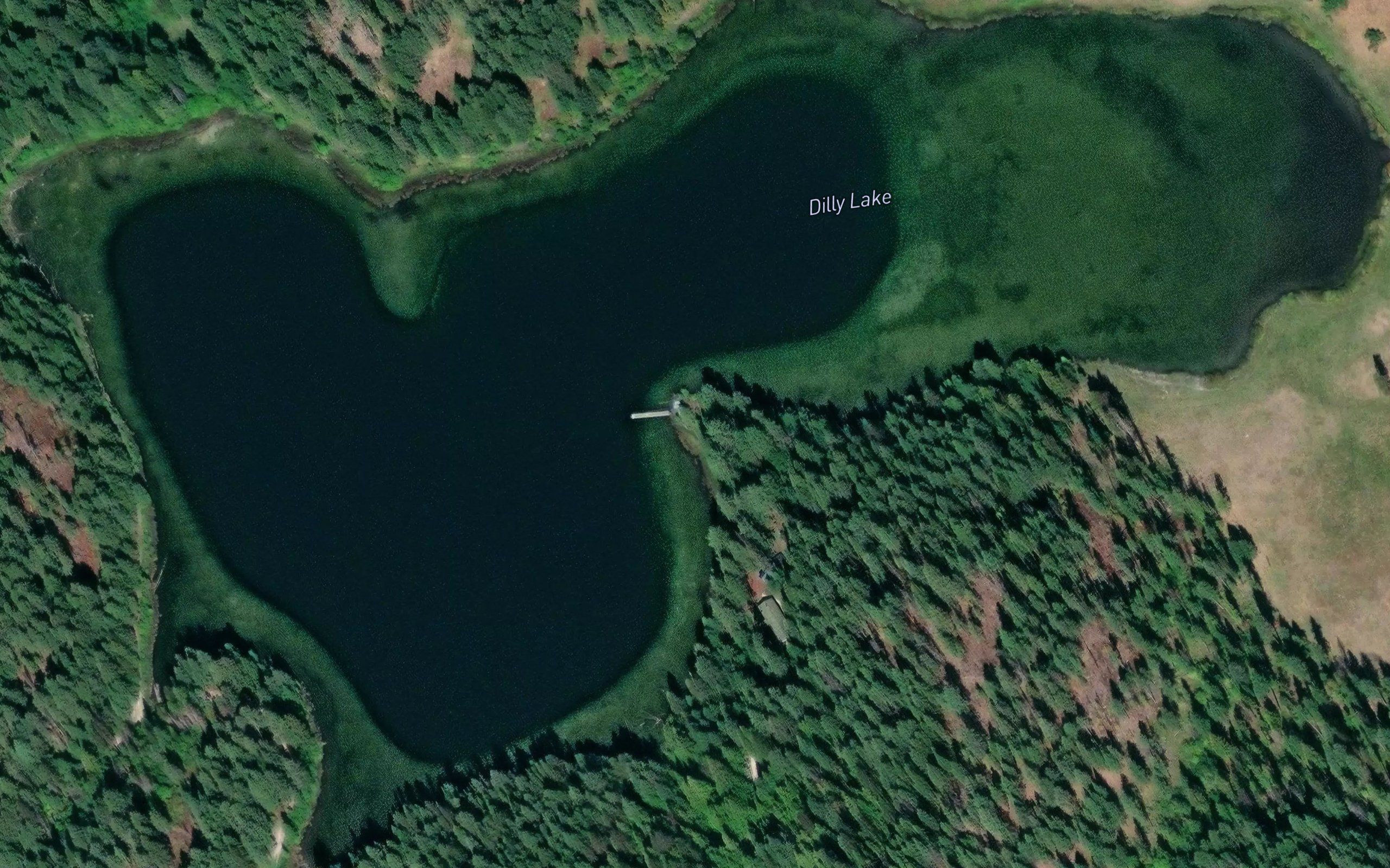 Dilly Lake