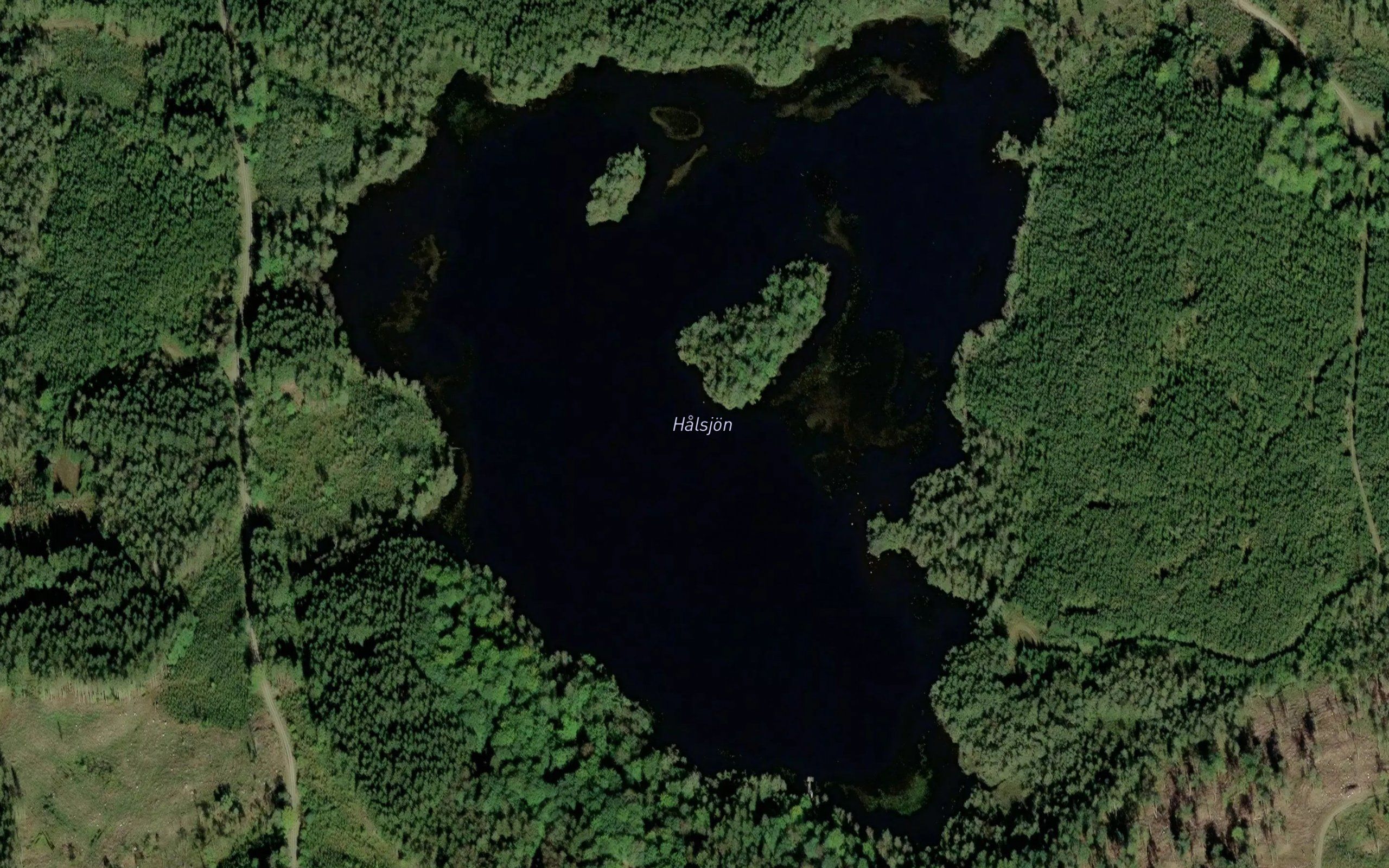 Halsjoen
