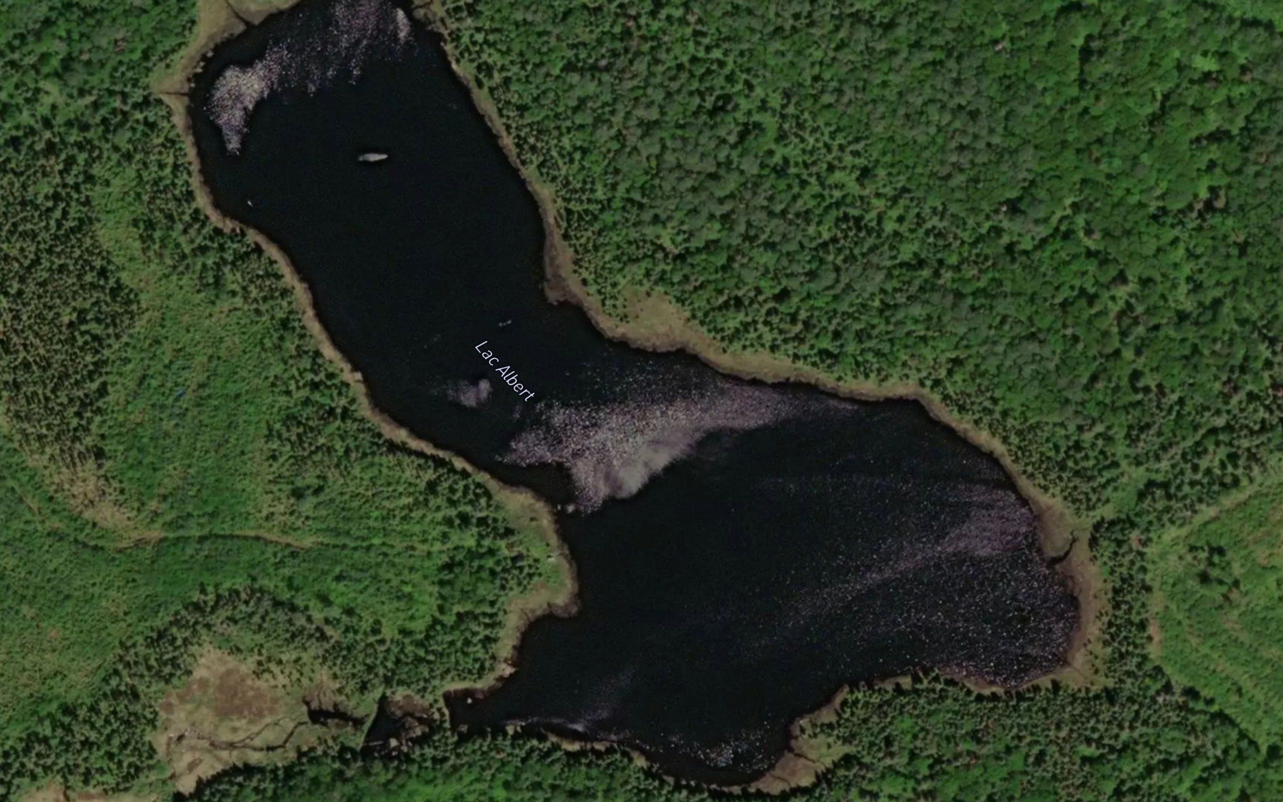 Lac Albert