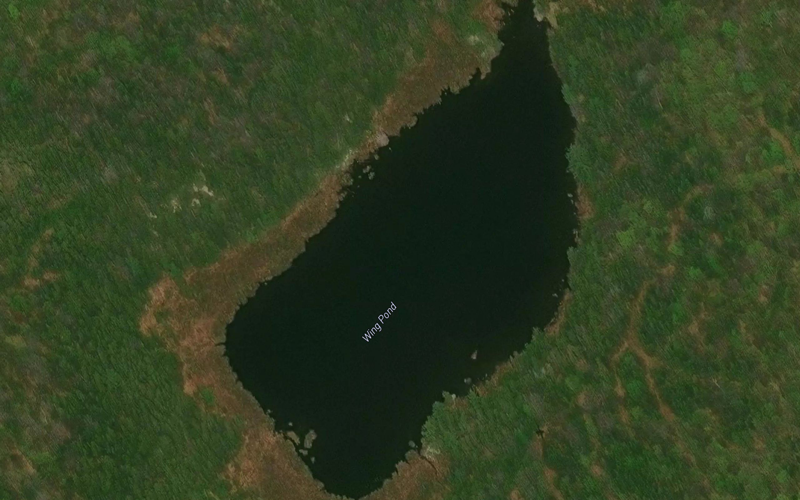 Wing Pond
