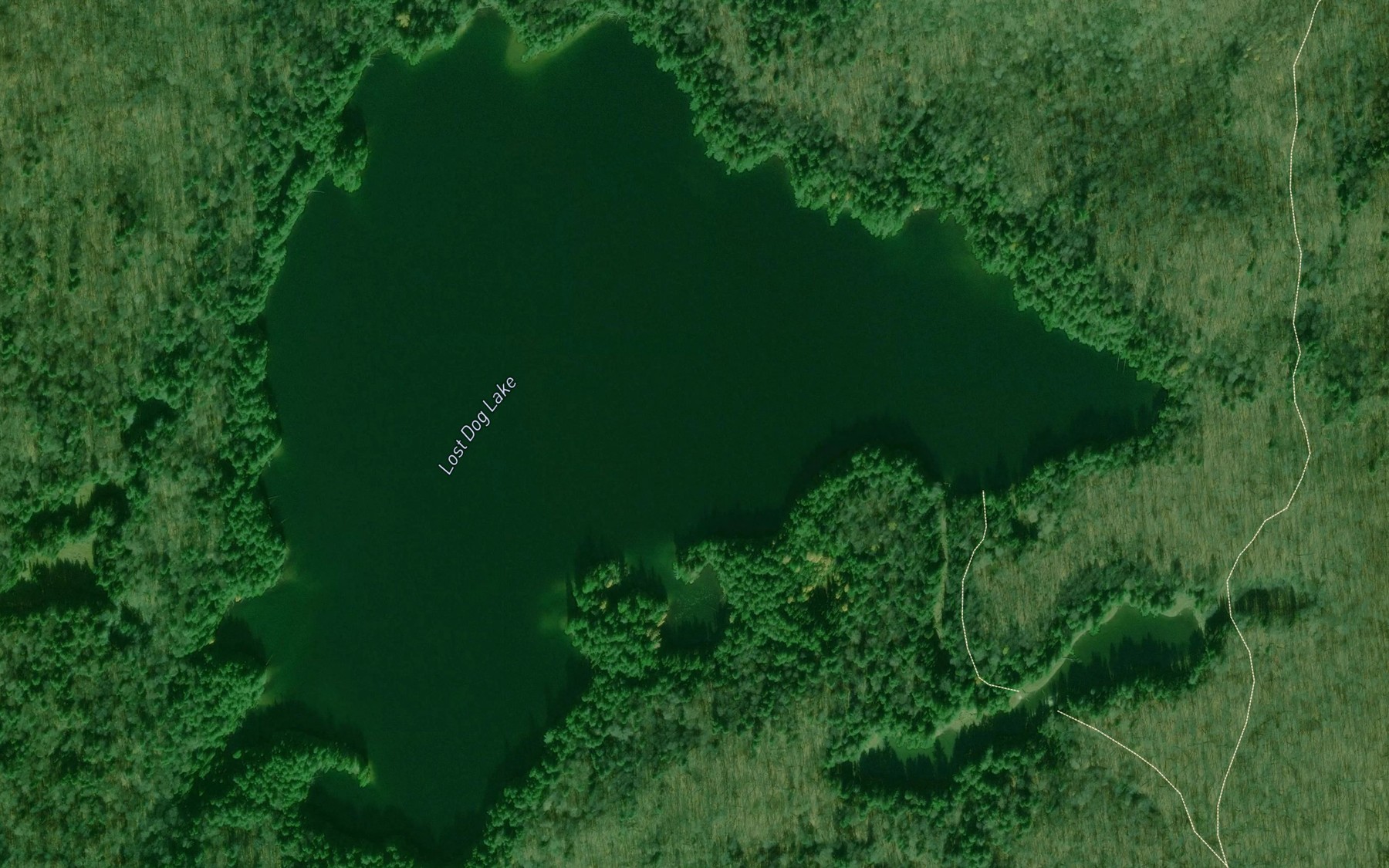 Satellite map of the Lost Dog Lake