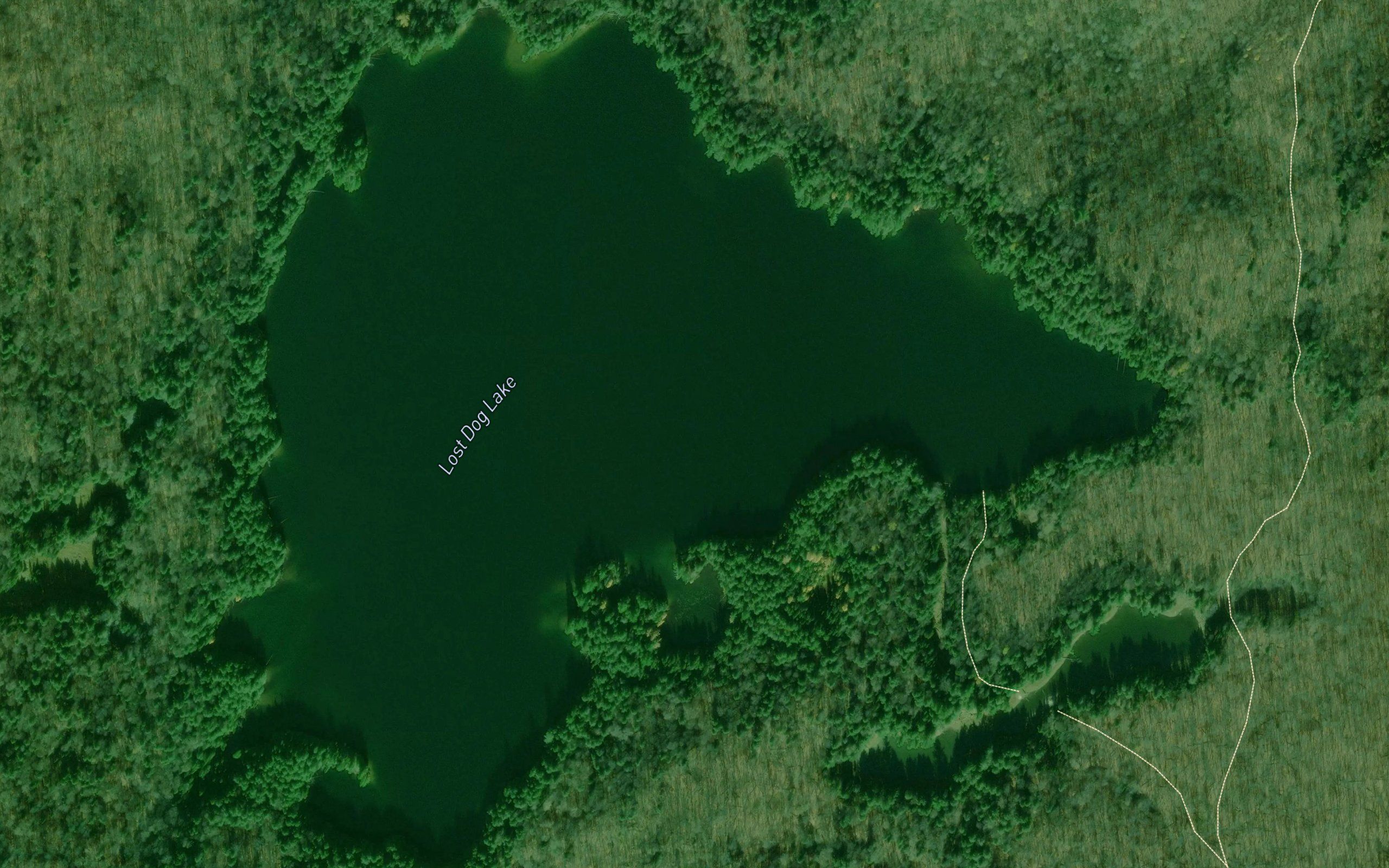 Lost Dog Lake