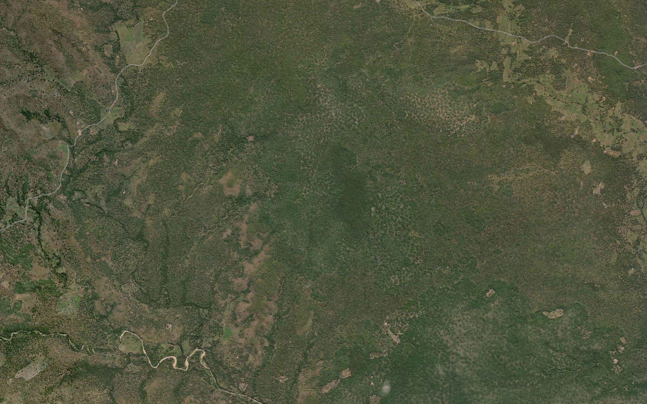 Surgua