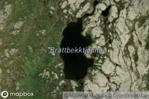 Brattbekktjorna