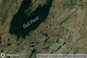 Gull Pond