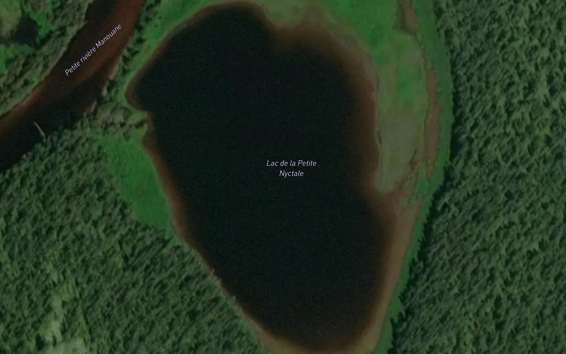 Satellite map of the Lac de la Petite Nyctale