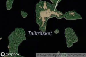 Stora Talltrasket