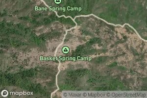Basket Spring