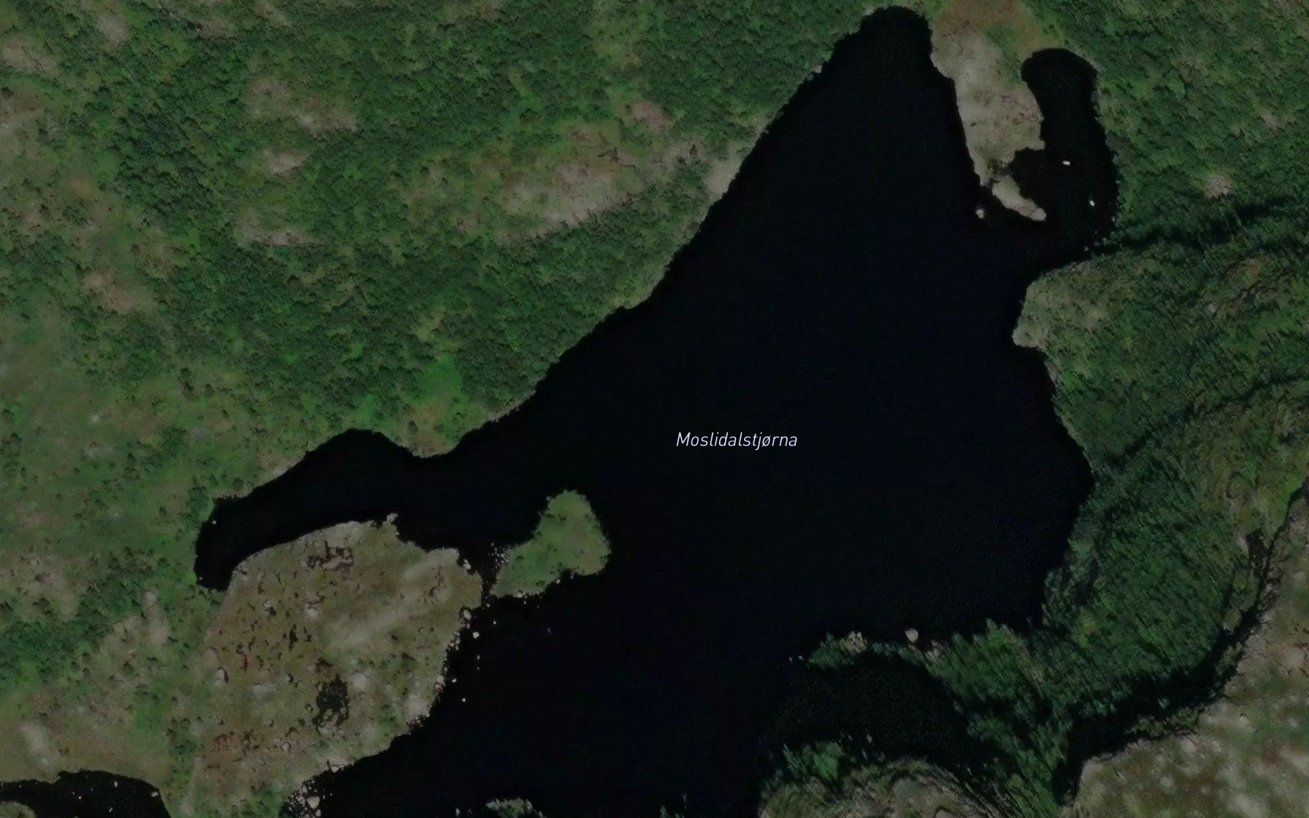 Moslidalstjorna