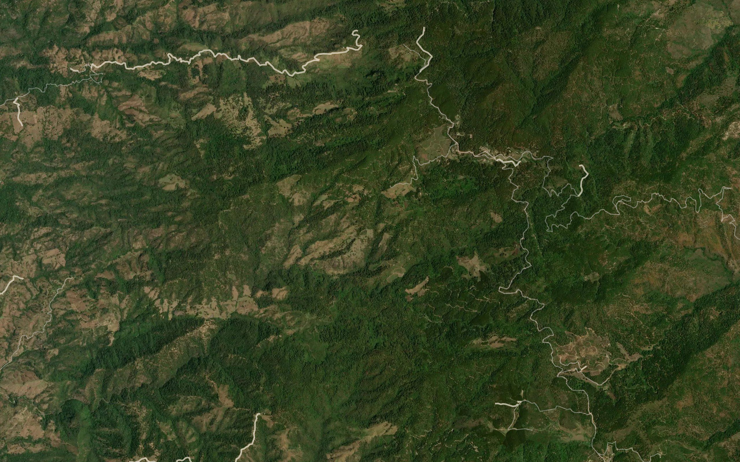 Barranca Los Llanitos