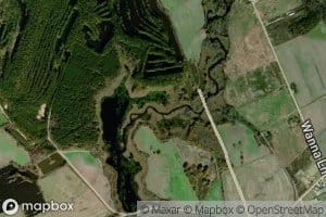 White Oak Slash Lake