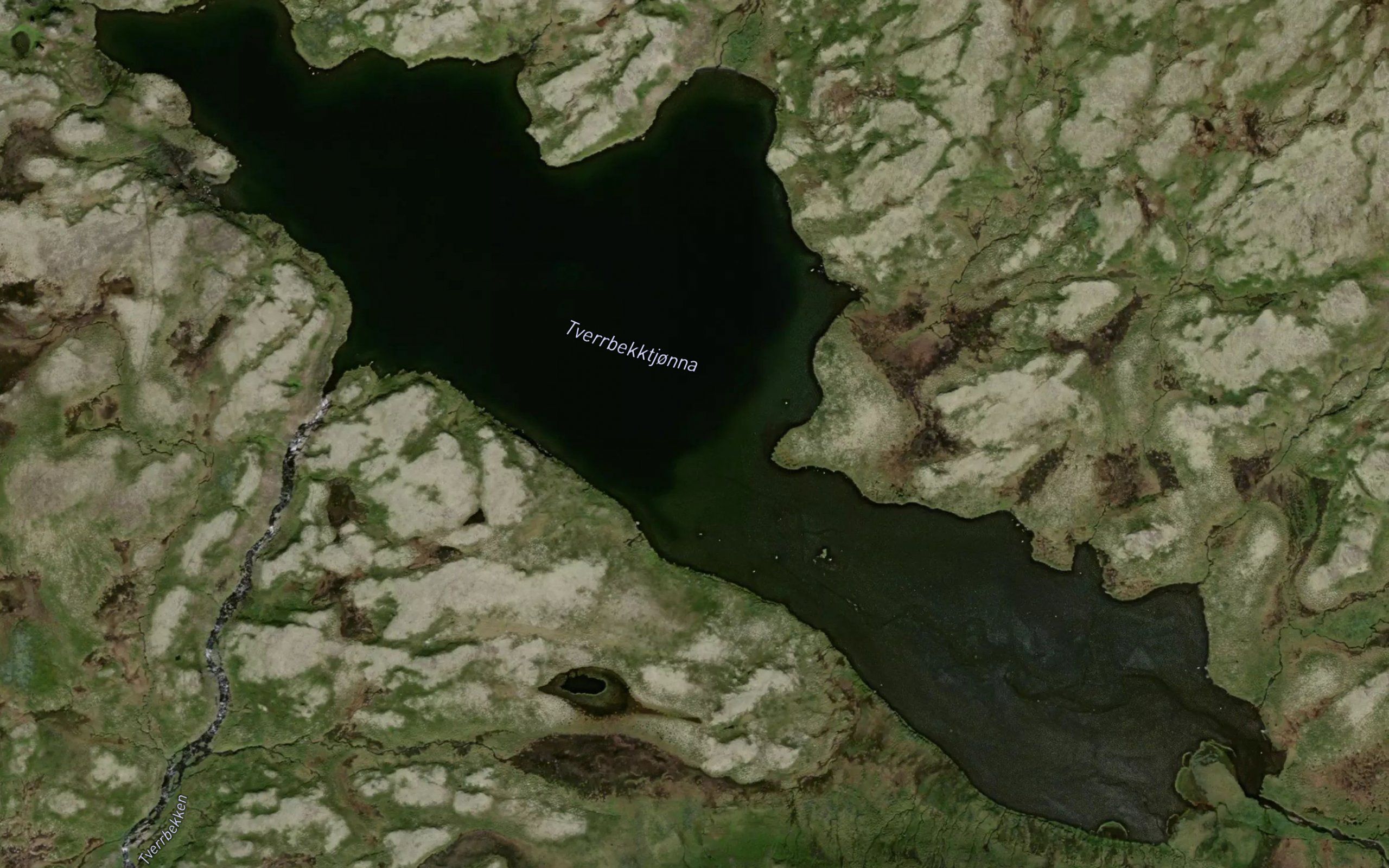 Tverrbekktjorna