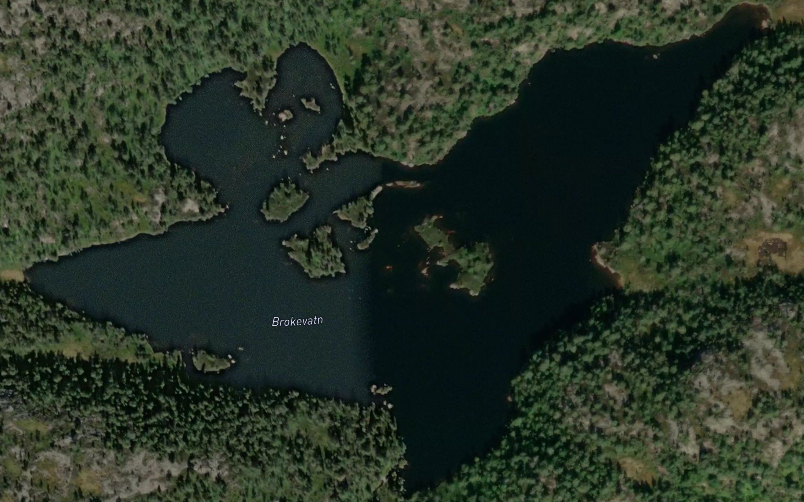 Brokevatna