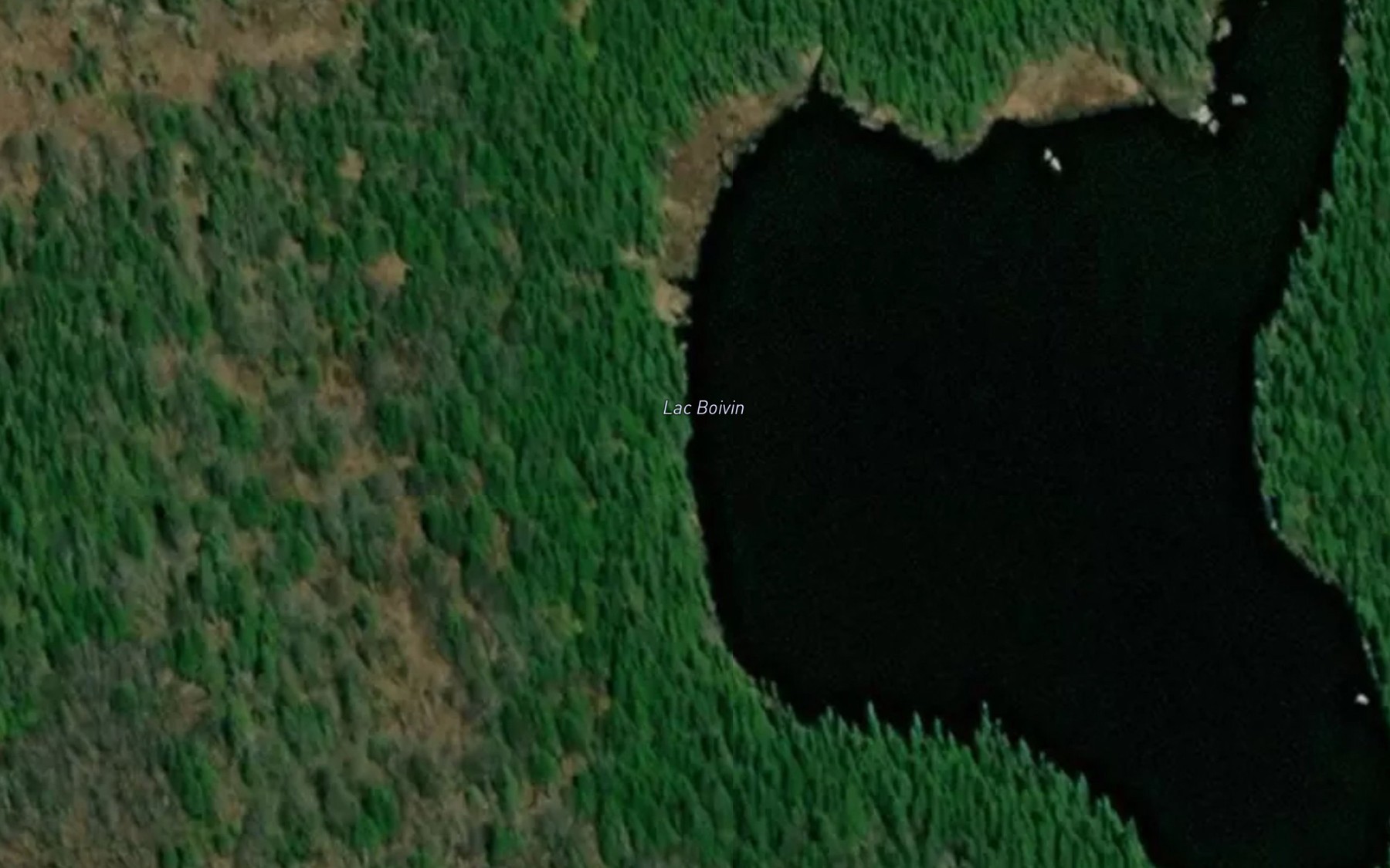 Satellite map of the Lac Boivin