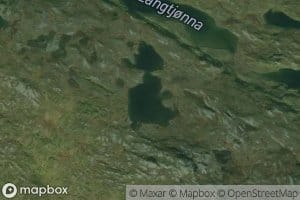 Labekktjorna
