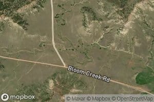 South Fork Bloom Creek