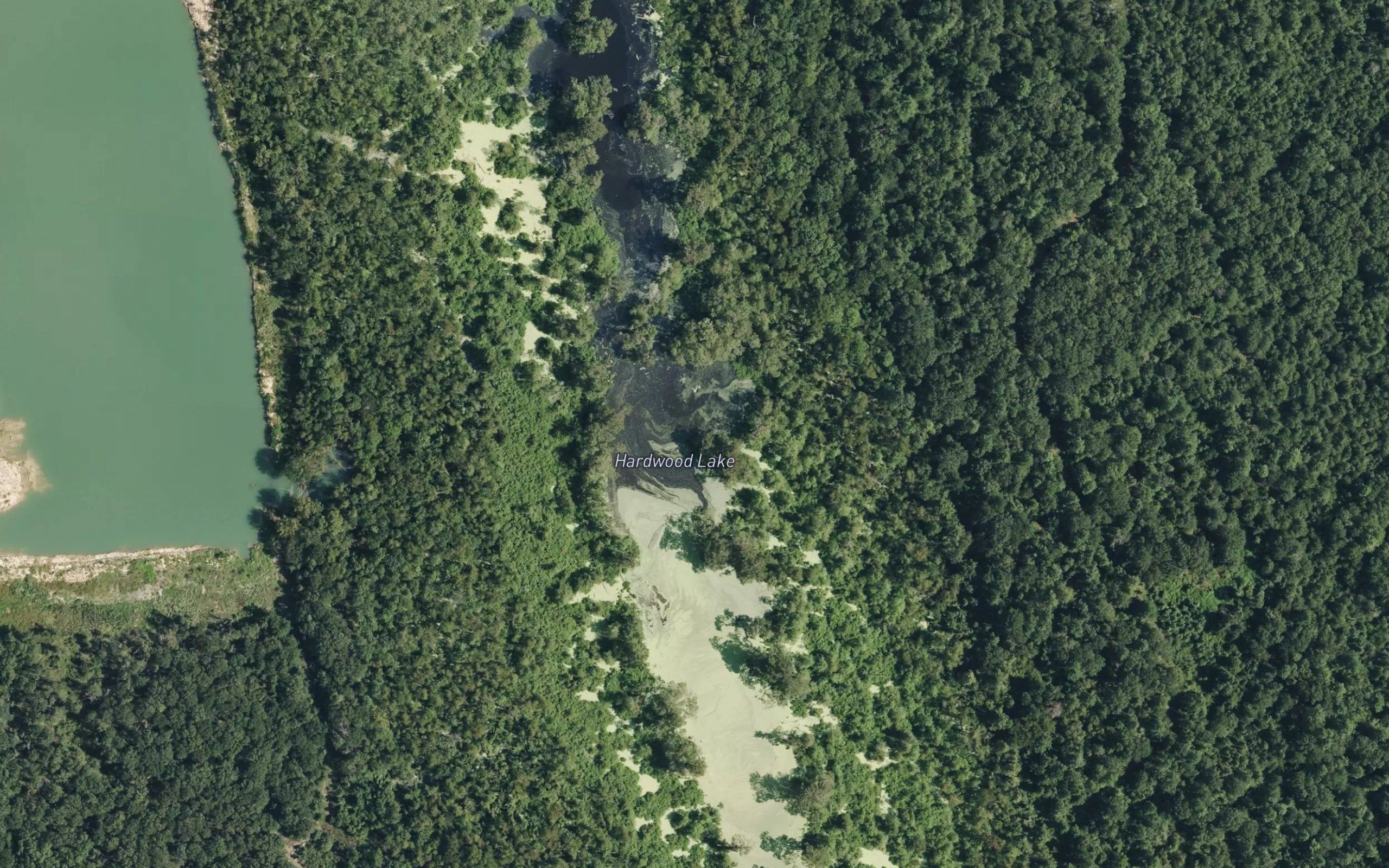 Hardwood Lake
