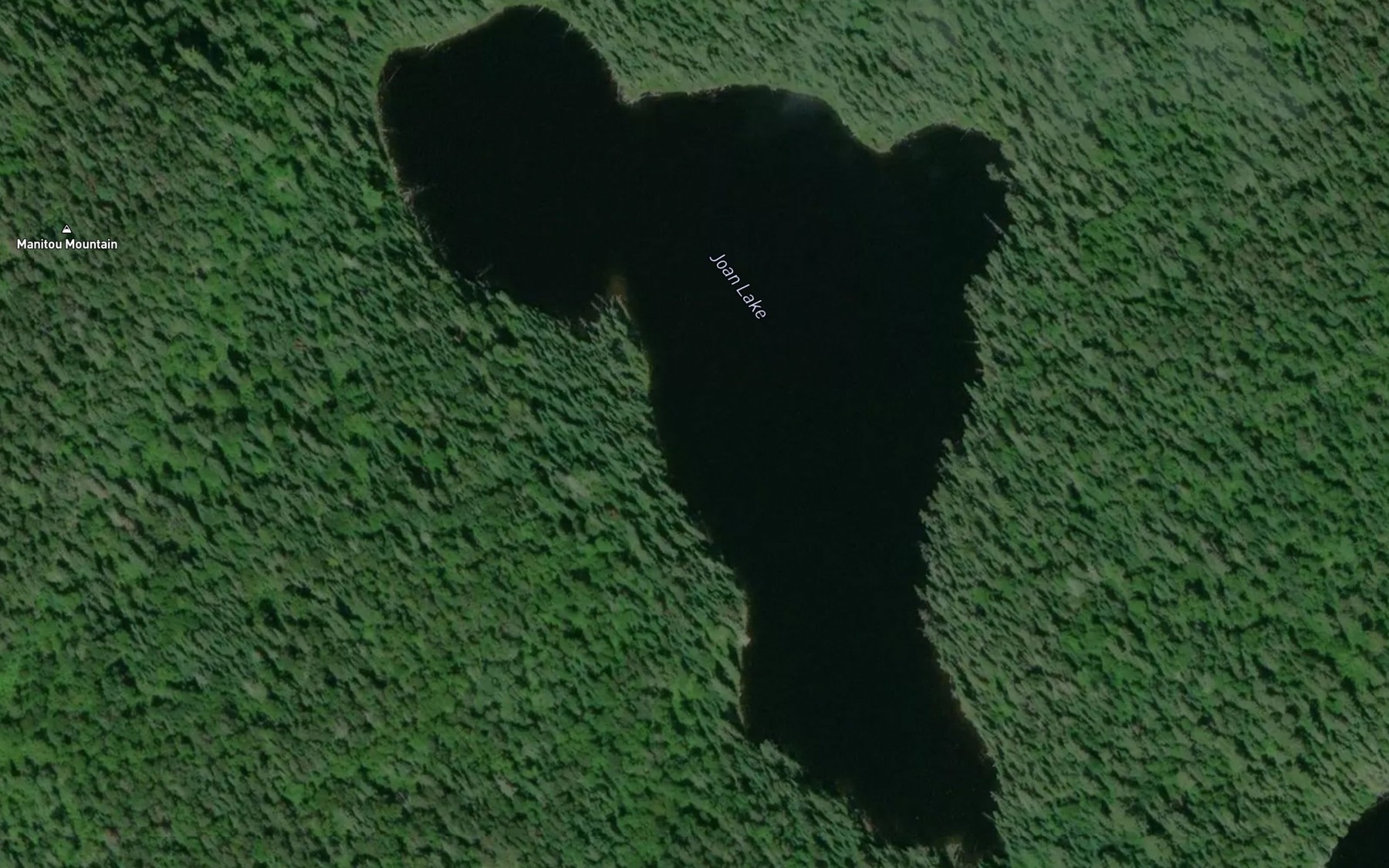 Satellite map of the Joan Lake