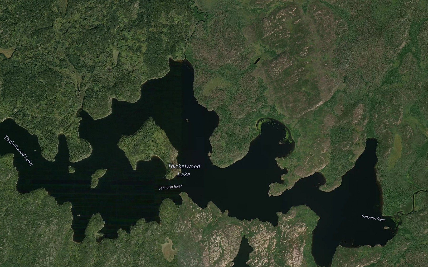 Satellite map of the Dutch River