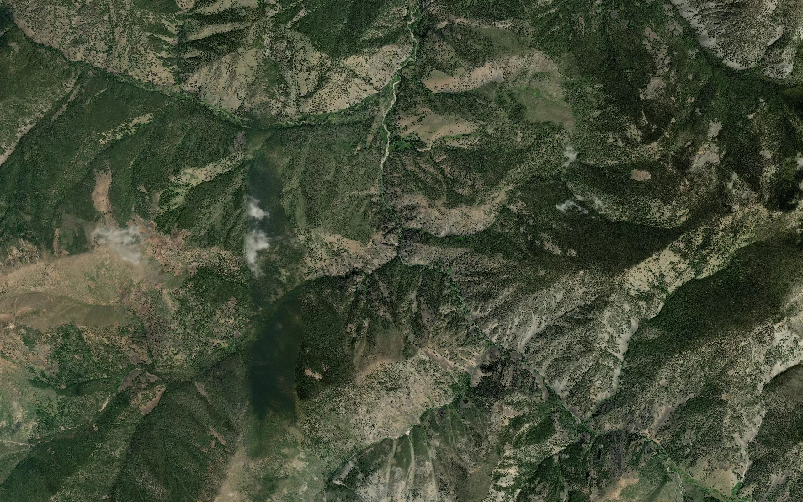 Fly Creek