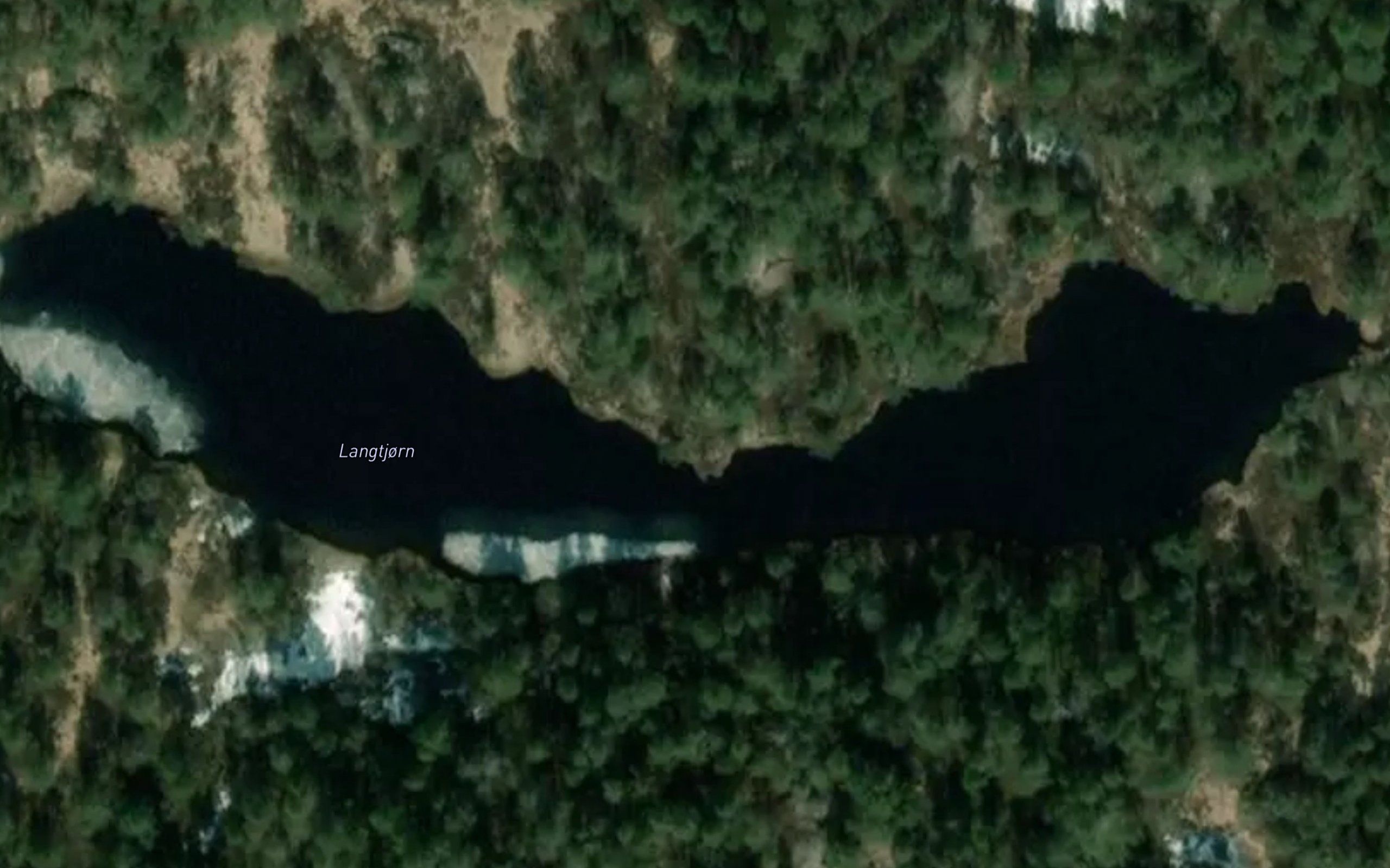 Langtjorn