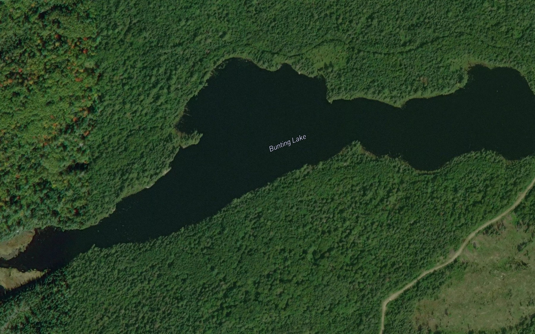 Satellite map of the Bunting Lake