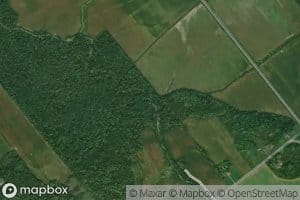 Cours d'eau du Trait Carre