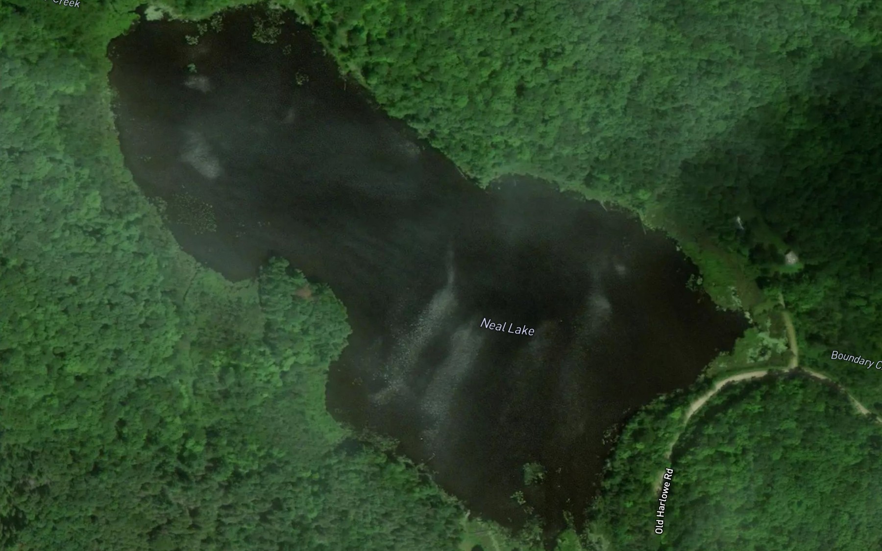 Satellite map of the Neal Lake