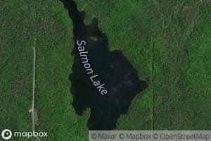 Salmon Lake