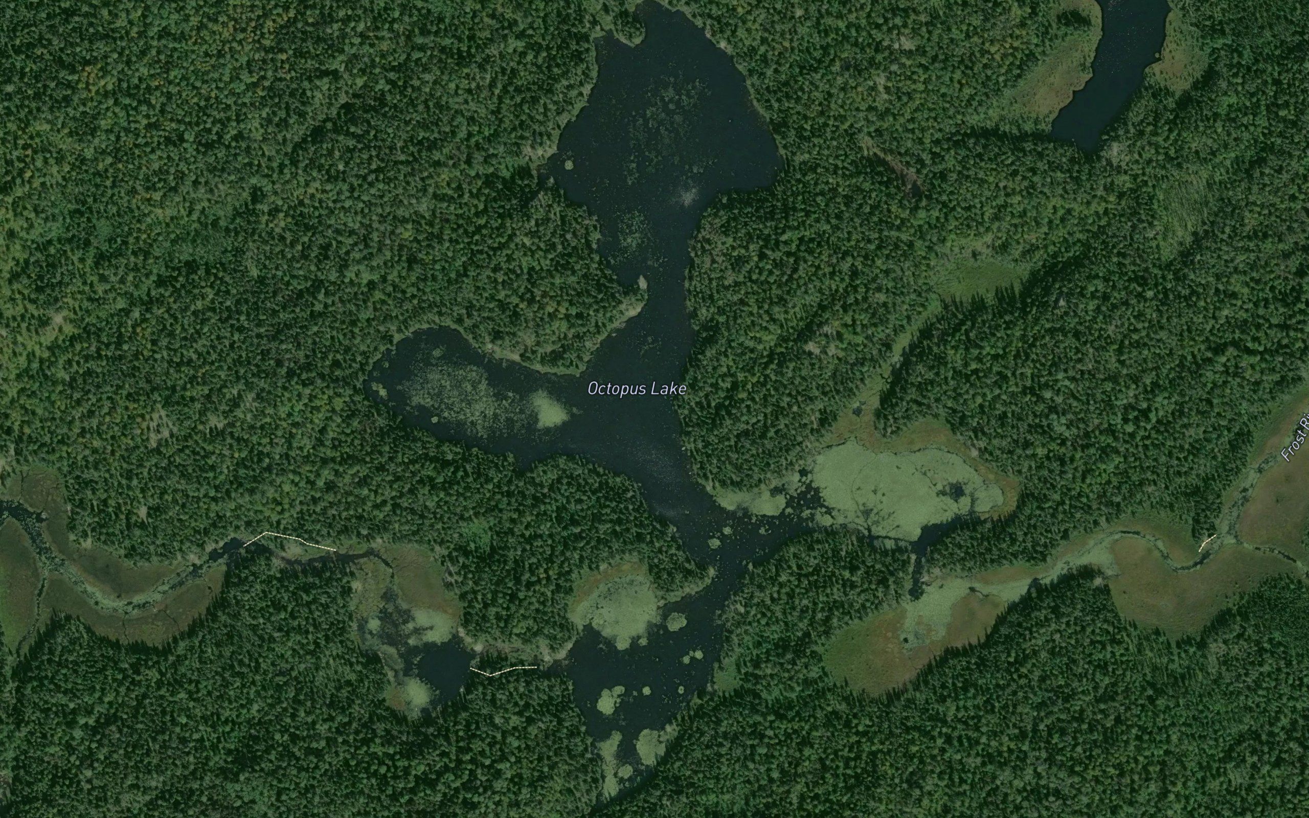 Octopus Lake