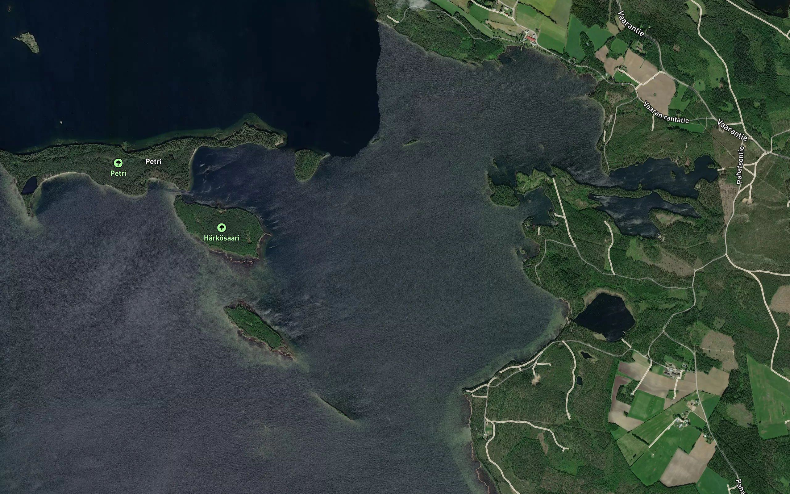 Mykkiinselka