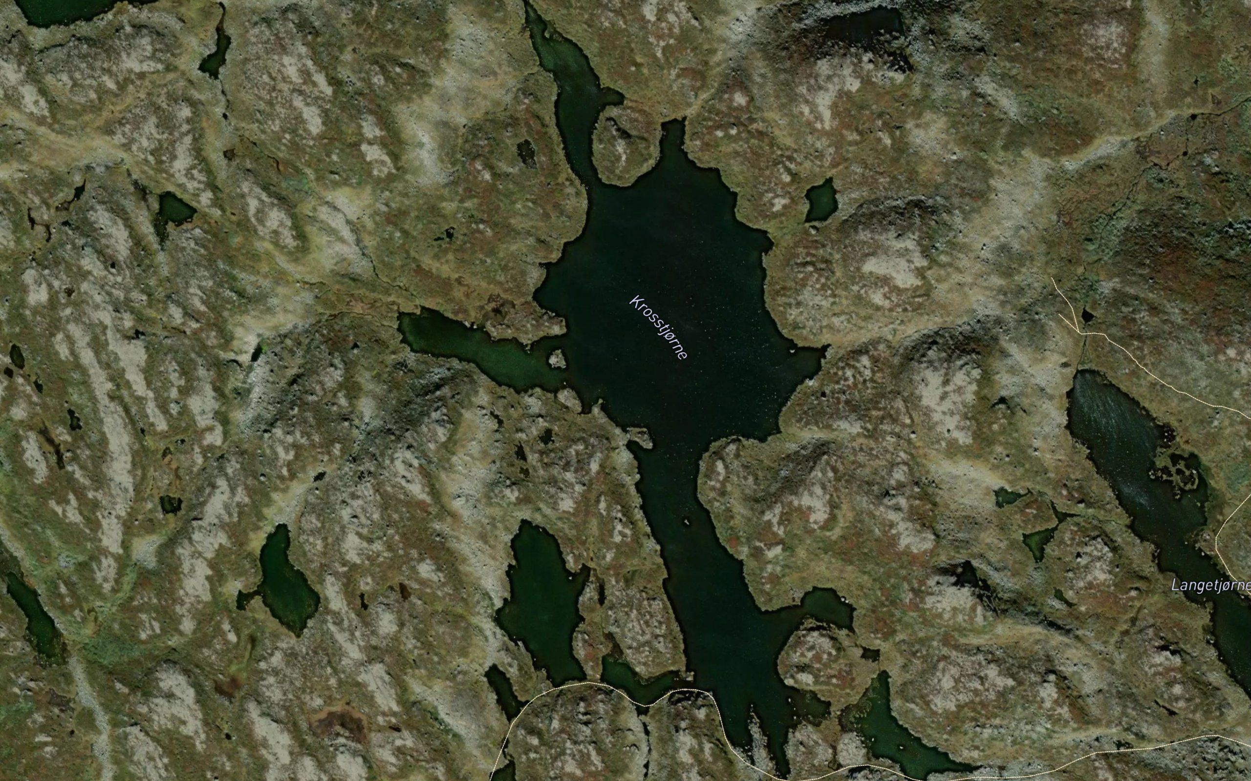 Krosstjorne